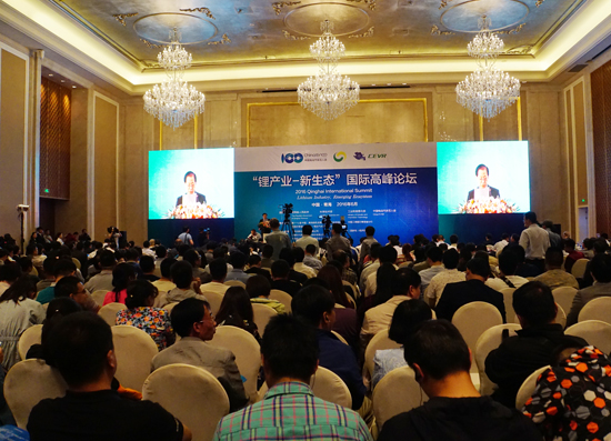 1466413584911057696.jpg 4.jpg