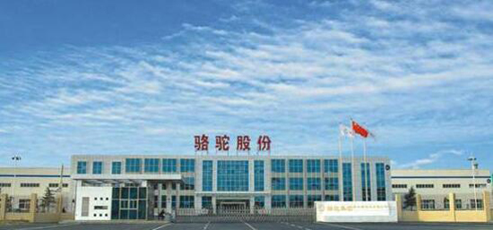 1481507269097092805.jpg 1.jpg