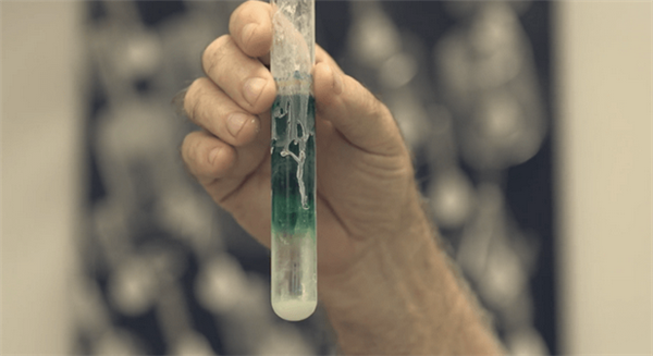 1503278692893014276.png 6363886702730421273131972.png