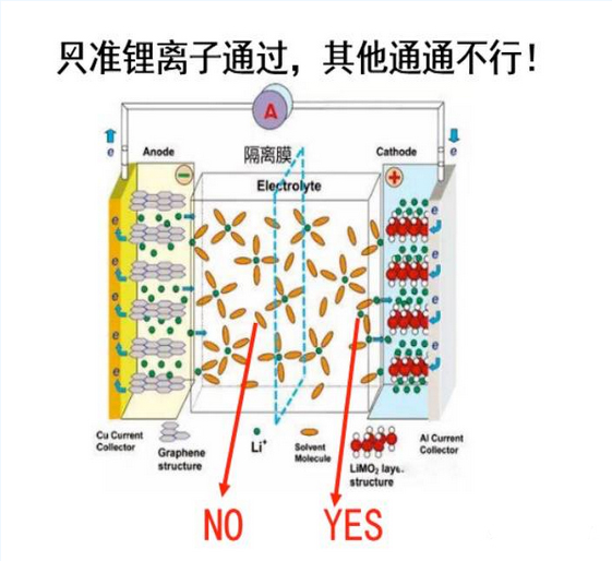 1505096098905056951.jpg 3.jpg