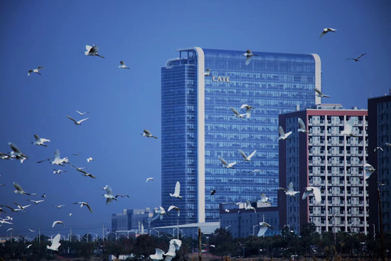 獨角獸寧德時代正式登陸創(chuàng)業(yè)板 引領(lǐng)動力電池行業(yè)時代變革