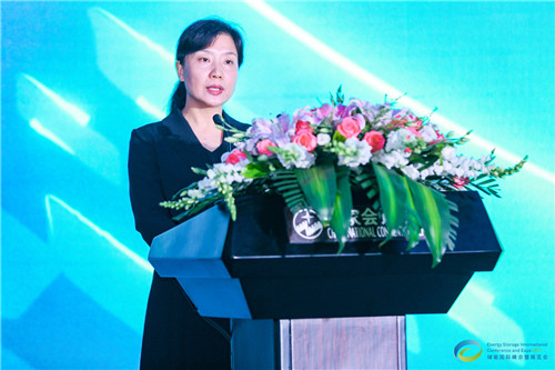中關村管委會國際合作處處長蔣崇華：儲能技術與產業在中關村新時期創新發展中將大有可為