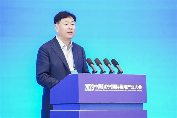 中國(guó)化學(xué)與物理電源行業(yè)協(xié)會(huì)秘書長(zhǎng)王澤深致辭