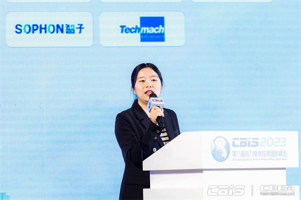 凌云光技術股份有限公司智能工業事業部鋰電行業總監徐捷：賦能極限智造，布局行業未來