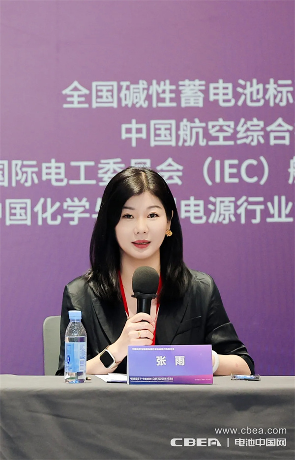 IEC飛行器電池國(guó)內(nèi)技術(shù)對(duì)口工作組第一次全體大會(huì)在深圳召開(kāi)