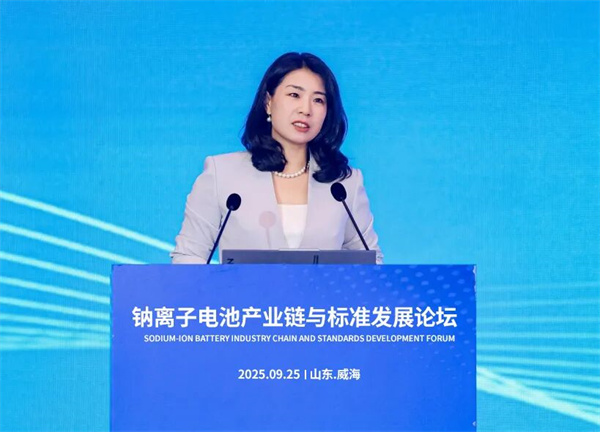 2025“鈉離子電池產業鏈與標準發展論壇”在威海開幕